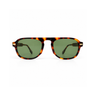 Tortoiseshell